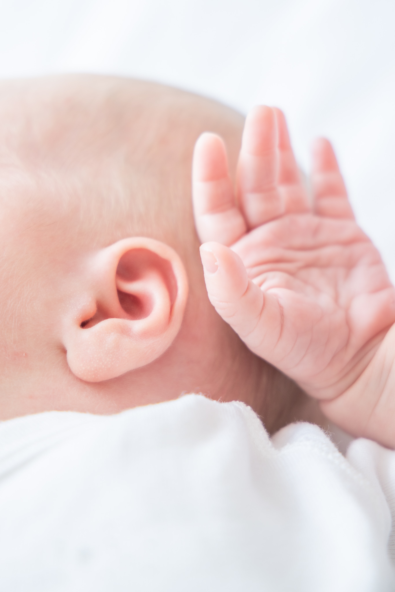 1T0A7293 handje newborn