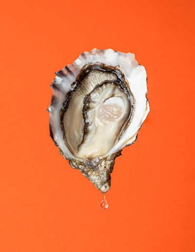 Lima Oyster